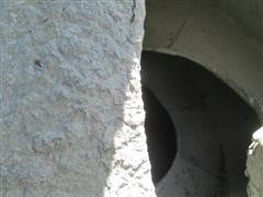 IMG_7330.JPG