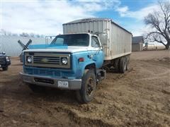 1980 Chevrolet C6500 Grain Truck 