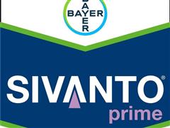 Sivanto_Prime_BrandTag_Outline_Screen_RGB.jpg