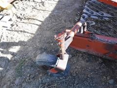 DSCF8170.JPG