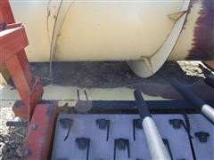 DSCF8173.JPG