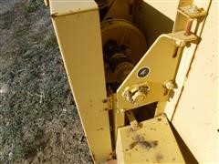 DSCF8182.JPG