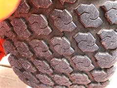 8256BB9C-3E3C-4413-AC78-703277940386.jpeg