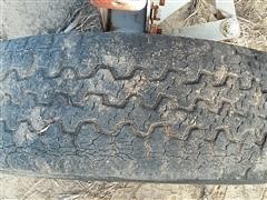 20170817_092539.jpg