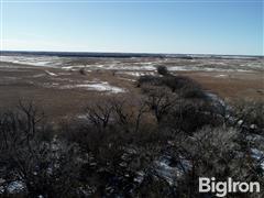 DJI_0134.MOV.00_01_33_03.Still004.jpg