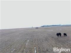 DJI_0002.mov.00_04_34_25.Still002.jpg