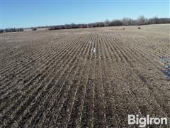 DJI_0139.MOV.00_03_51_08.Still002.jpg