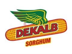 5 Bags Of Dekalb Seed 