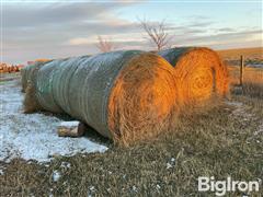 Hay Bales 