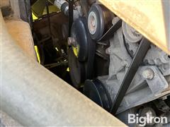 IMG_8395.jpeg