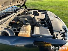 IMG_8400.jpeg