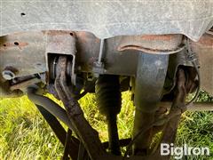IMG_8469.jpeg