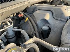 IMG_8397.jpeg