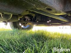 IMG_8473.jpeg