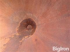 IMG_8462.jpeg