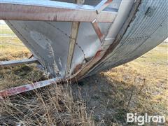 IMG_8469.jpeg