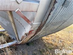 IMG_8465.jpeg