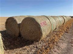 Millet (Forage) Hay Big Round Bales 