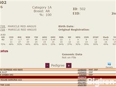 502Pedigree.JPG