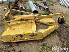 IMG_4103.jpeg