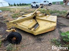 IMG_4100.jpeg