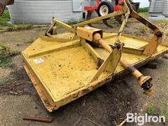 IMG_4098.jpeg