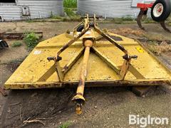 IMG_4097.jpeg