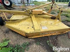 IMG_4099.jpeg