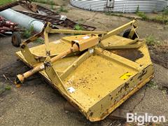 IMG_4104.jpeg