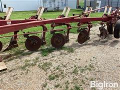IMG_0256.jpeg