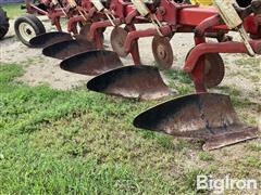 IMG_0257.jpeg