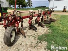 IMG_0241.jpeg