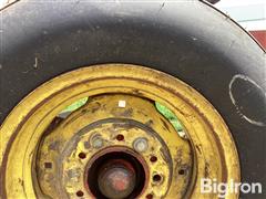 IMG_0247.jpeg