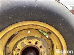 IMG_0248.jpeg