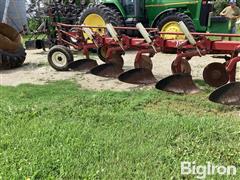 IMG_0239.jpeg
