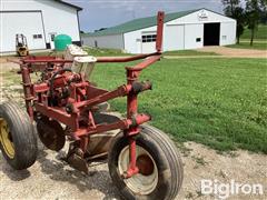 IMG_0243.jpeg