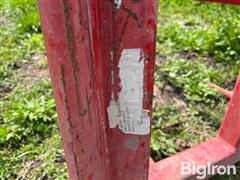IMG_6977.jpeg