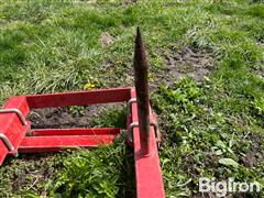 IMG_6983.jpeg