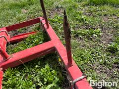 IMG_6982.jpeg