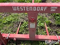 IMG_6979.jpeg