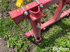 IMG_6976.jpeg
