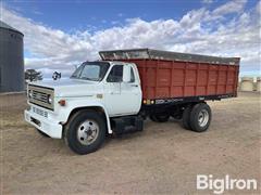 1981 Chevrolet C60 S/A Grain Truck 