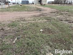 IMG_8941.jpg
