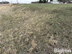 IMG_8931.jpg