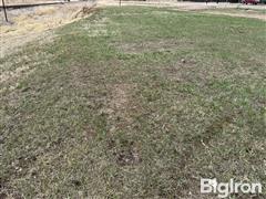 IMG_8932.jpg