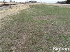 IMG_8933.jpg