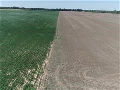 Tr 1 wheat stubble and soybeans 3.jpg