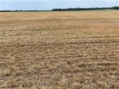 Tr 1 wheat stubble looking south.jpg