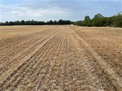 Tr 1 wheat stubble looking east 2.jpg