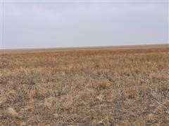 Tract 2:  160+/- Acres Baca County, CO